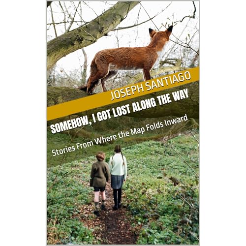 Somehow, I Got Lost Along the Way