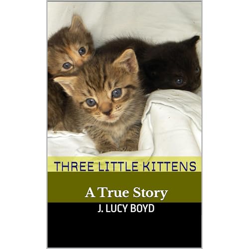 Three Little Kittens by J. Lucy Boyd