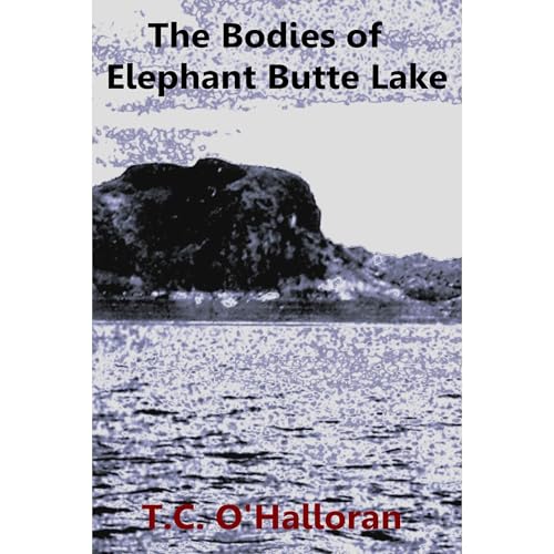 The Bodies of Elephant Butte Lake