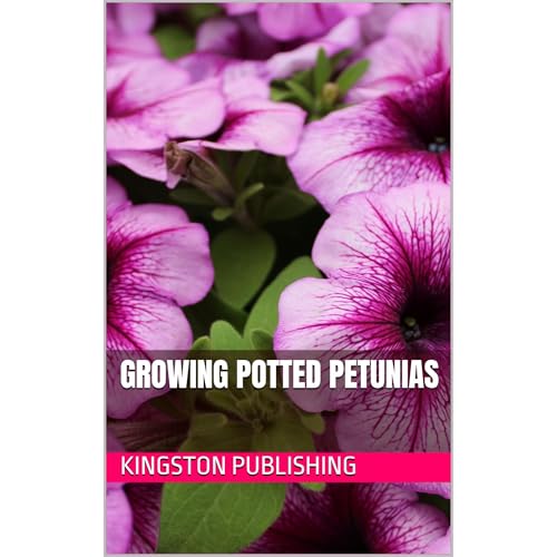 Growing Potted Petunias