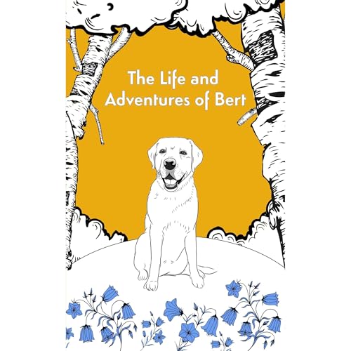 The Life and Adventures of Bert by Ross Anderson Graham