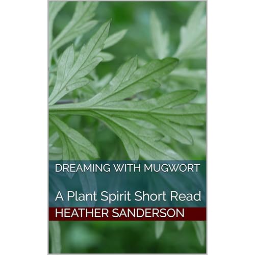 Dreaming with Mugwort