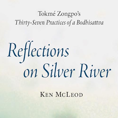 Reflections on Silver River