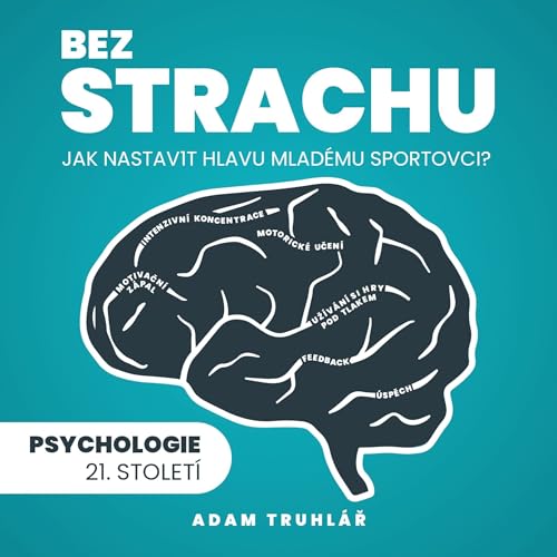 Bez strachu [Without Fear] by Adam Truhlar