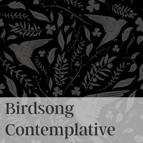 Birdsong Contemplative by Rooster High Productions