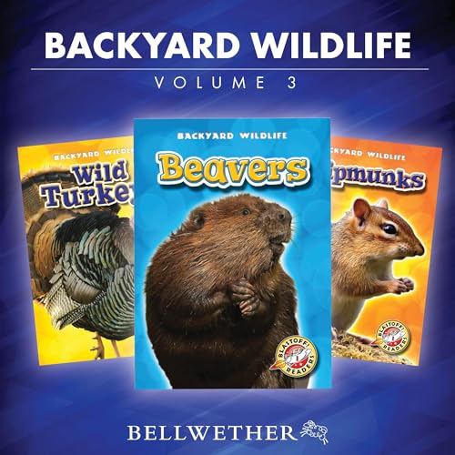 Backyard Wildlife: Volume 3