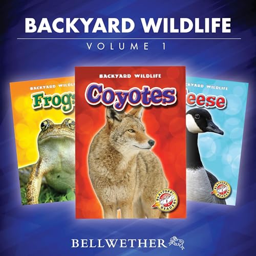 Backyard Wildlife: Volume 1