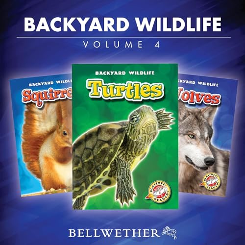 Backyard Wildlife: Volume 4 by Various