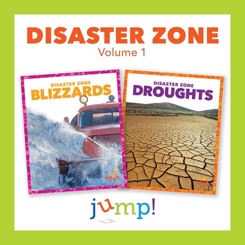 Disaster Zone: Volume 1 by various