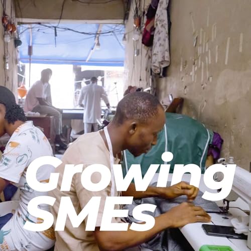 African Small Businesses Have Many Challenges. Can These Platforms Help? by Unknown