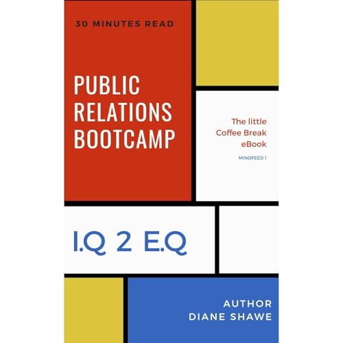 Public Relations Bootcamp Mindfeed 1