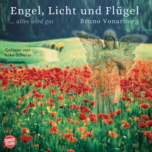 Engel, Licht und Flügel by Bruno Vonarburg