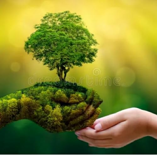 LIVE GREEN by Bhakti Shukla