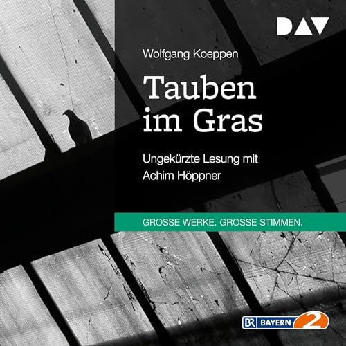 Tauben im Gras