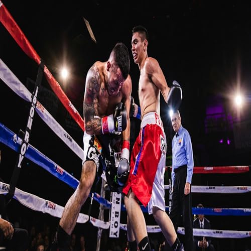 The Boxing Verdict by Neil Gray