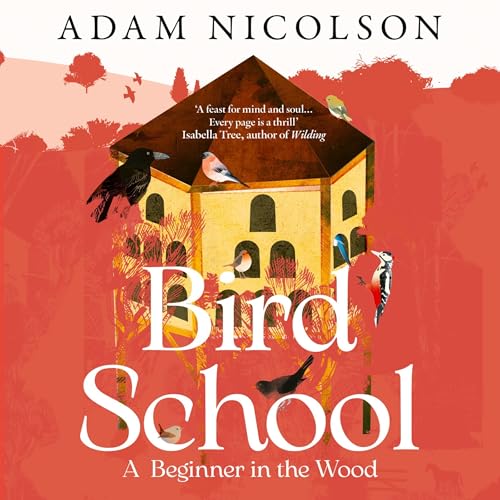 Bird School