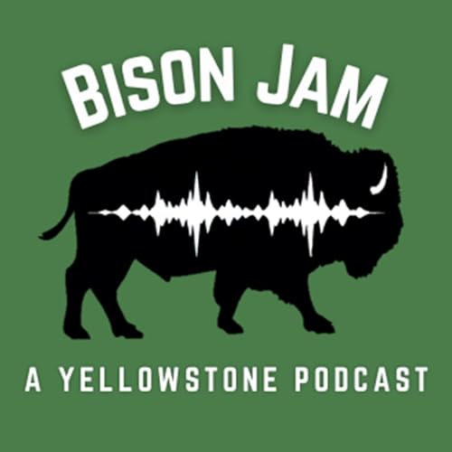 Bison Jam by Hugo Sindelar Media LLC