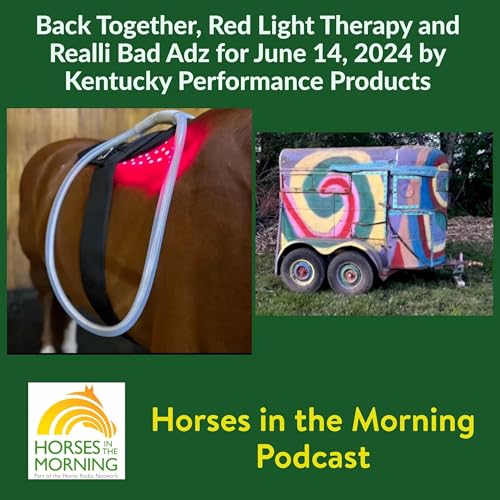 HITM for June 14, 2024: Back Together, Red Light Therapy and Realli Bad Adz by Unknown