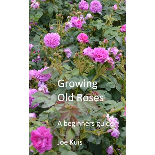 GROWING OLD ROSES