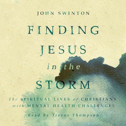 Finding Jesus in the Storm by John Swinton