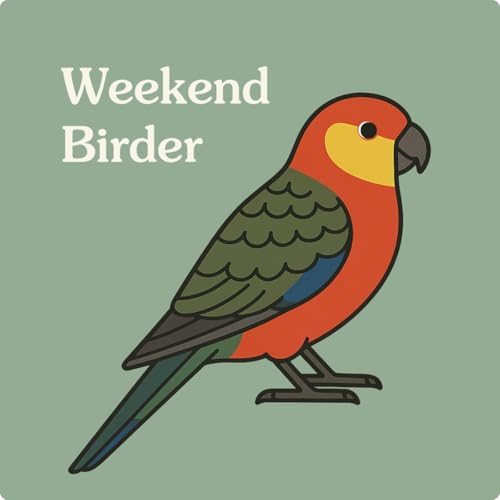 81 Birdwatching in WA - with Jeremy by Unknown