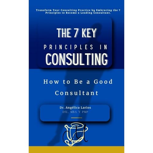 The 7 Key Principles In Consulting