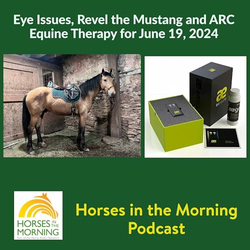 Eye Issues, Revel the Mustang and ARC Equine Therapy for June 19, 2024 by State Line Tack - Horses in the Morning by Unknown