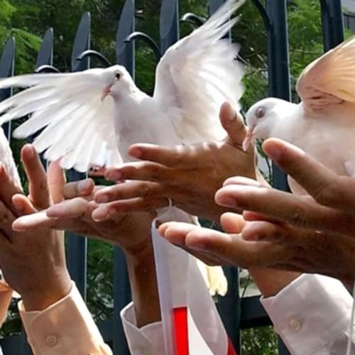 Tại sao đạo đức là kẻ thù của hòa bình? by Unknown