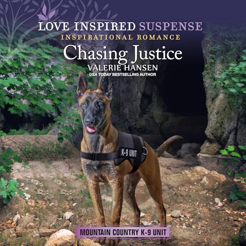 Chasing Justice by Valerie Hansen