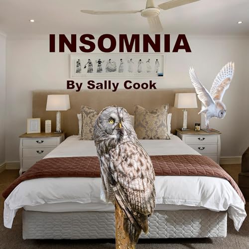 Insomnia by Sally Cook