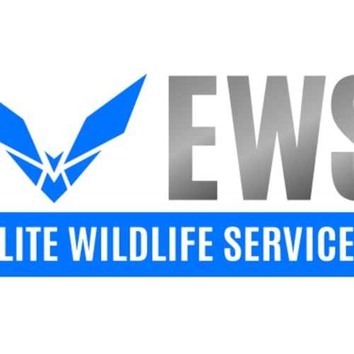 Bat Removal In Houston - Elite Wildlife