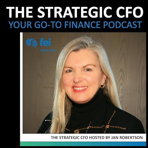 The Strategic CFO by FEI by FEI Silicon Valley