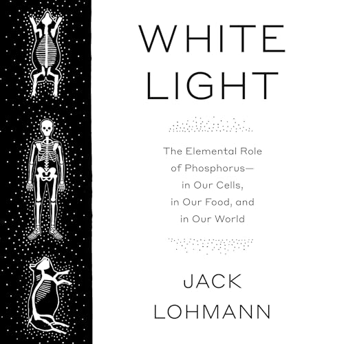 White Light by Jack Lohmann