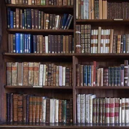 [download [pdf] Harry Potter en de Relieken van de Dood (Harry Potter #7) BY J.K. Rowling by Unknown