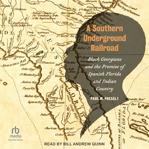 A Southern Underground Railroad by Paul M. Pressly