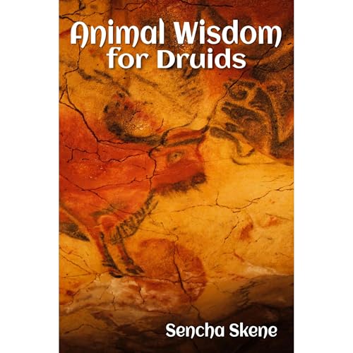 Animal Wisdom for Druids