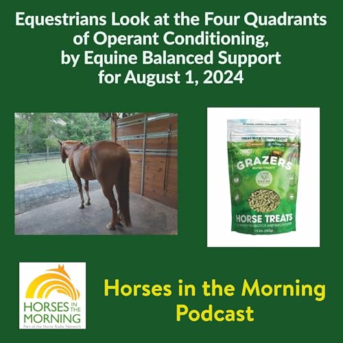 Equestrians Look at the Four Quadrants of Operant Conditioning, by Equine Balanced Support for August 1, 2024 - Horses in the Morning by Unknown