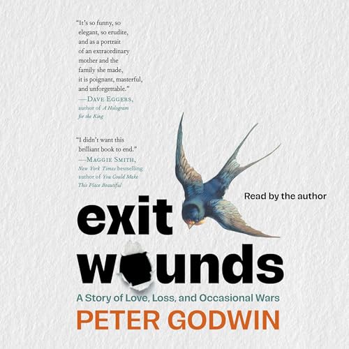 Exit Wounds by Peter Godwin