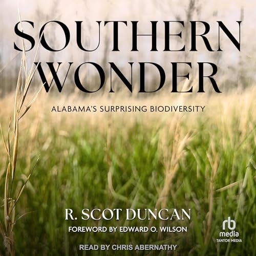 Southern Wonder by R. Scot Duncan