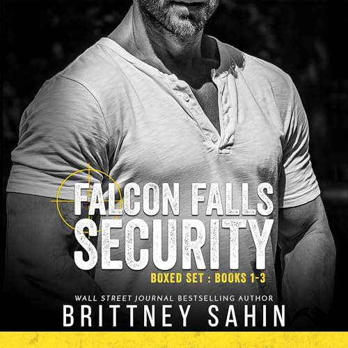 Falcon Falls Security Boxed Set, Books 1-3