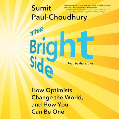 The Bright Side by Sumit Paul-Choudhury