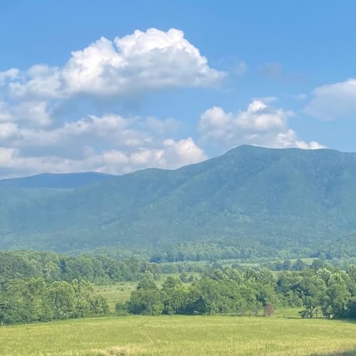 The Black Sheep Speaks Out (about narcissistic abuse) by The Black Sheep Speaks Out