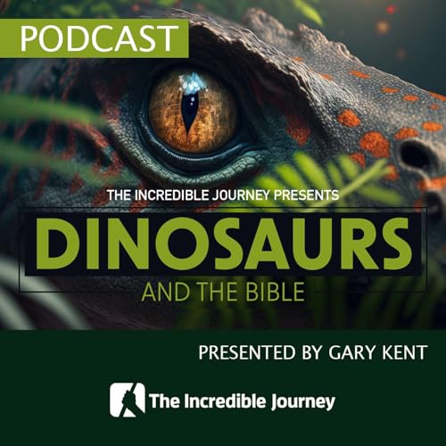 Dinosaurs and the Bible by Unknown