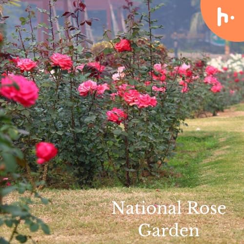 A Symphony of Petals: Explore the National Rose Garden by luna26