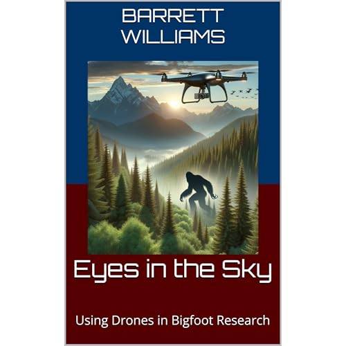 Eyes in the Sky by Barrett Williams