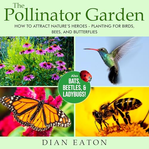 The Pollinator Garden