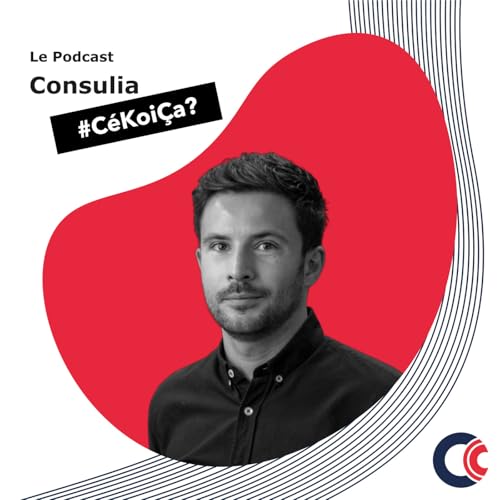 Consulia CéKoiÇa by Romain ROUSSEAU