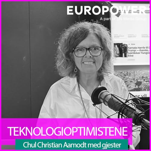 Teknologioptimistene - Det er naturstridig å lykkes med å løfte SaaS ut fra et konsulentselskap by Unknown