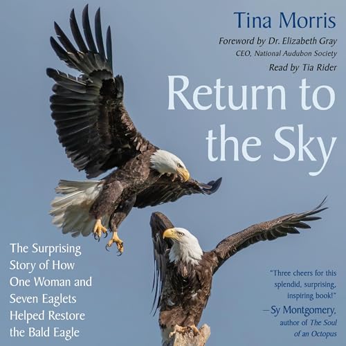 Return to the Sky by Tina Morris