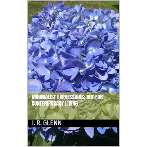 Minimalist Expressions: Art for Contemporary Living by J. R. Glenn